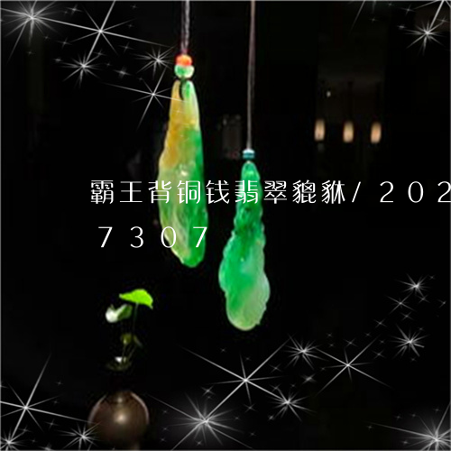 霸王背铜钱翡翠貔貅/2023042817307