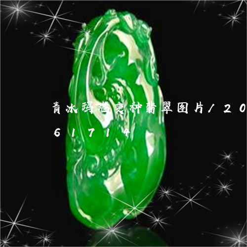 青冰玛瑙变种翡翠图片/2023112461714