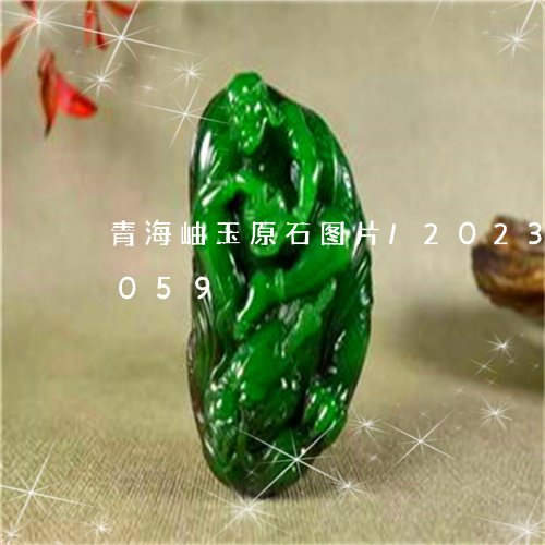 青海岫玉原石图片/2023112526059