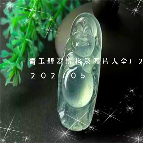 青玉翡翠价格及图片大全/2023072202705