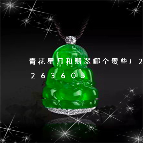 青花星月和翡翠哪个贵些/2023072263605