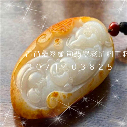 青苗翡翠缅甸翡翠老坑料毛料原石/2023071403825