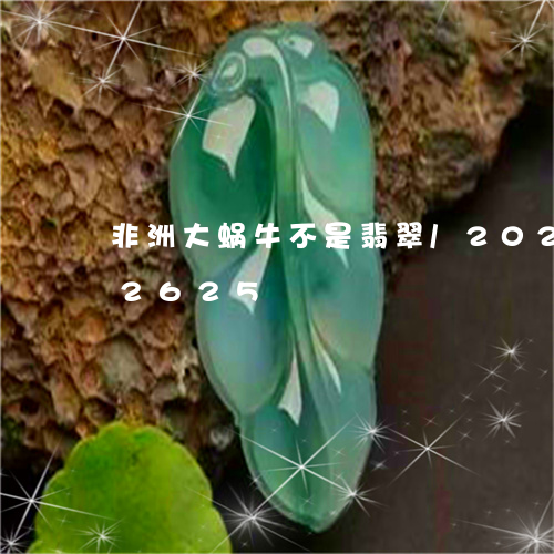 非洲大蜗牛不是翡翠/2023042912625