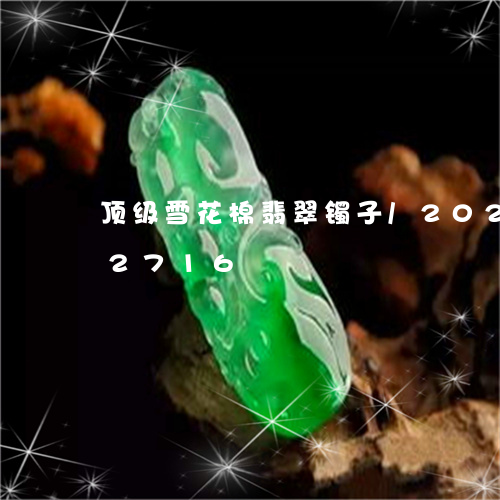 顶级雪花棉翡翠镯子/2023120462716