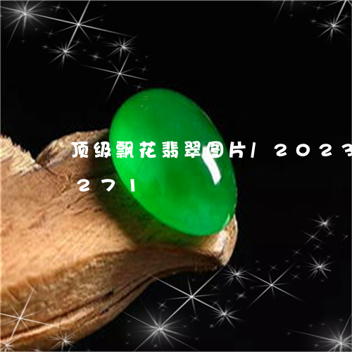 顶级飘花翡翠图片/2023112437271