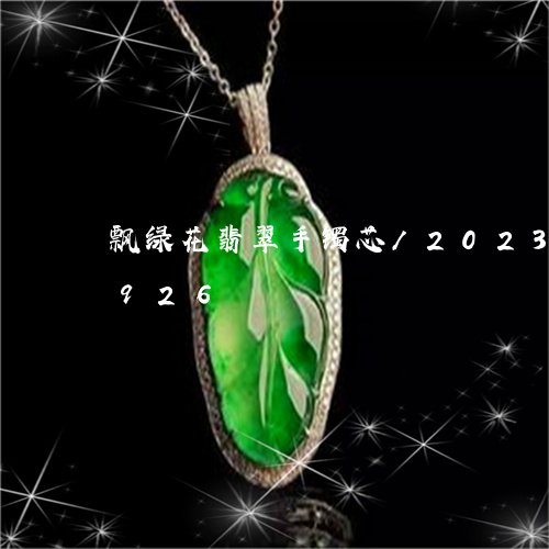 飘绿花翡翠手镯芯/2023040146926