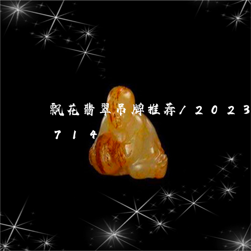 飘花翡翠吊牌推荐/2023112473714