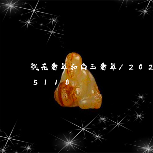 飘花翡翠和白玉翡翠/2023042945118