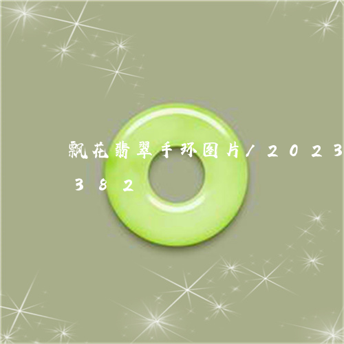 飘花翡翠手环图片/2023121740382