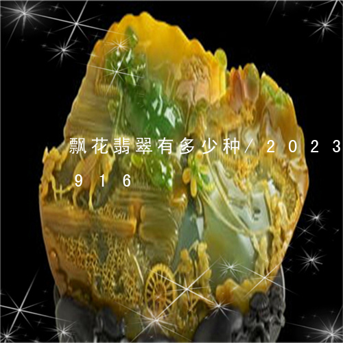 飘花翡翠有多少种/2023102403916