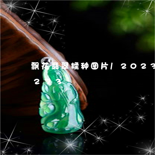 飘花翡翠糯种图片/2023121778273