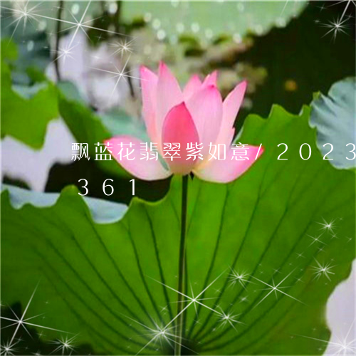 飘蓝花翡翠紫如意/2023112438361