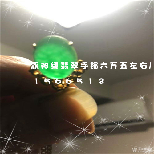 飘阳绿翡翠手镯六万五左右/2023031566512