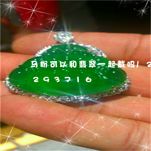 马粉可以和翡翠一起戴吗/2023072293716