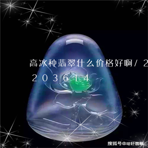 高冰种翡翠什么价格好啊/2023072203614