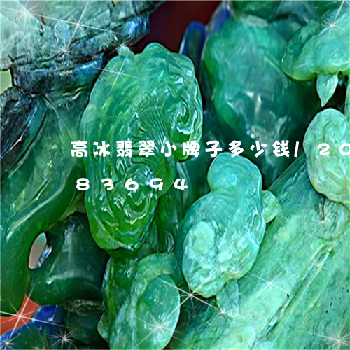 高冰翡翠小牌子多少钱/2023112483694