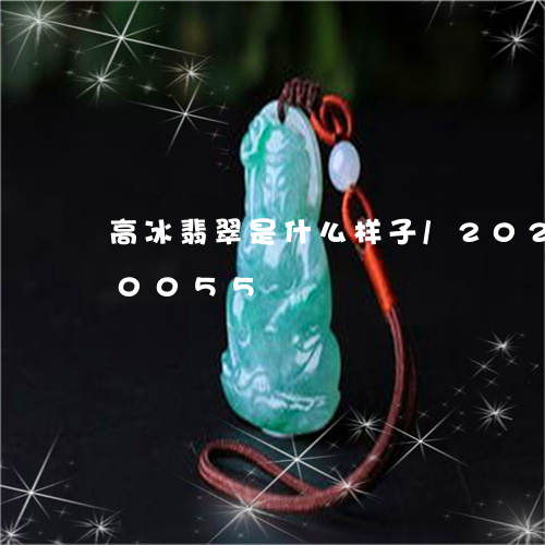 高冰翡翠是什么样子/2023042870055