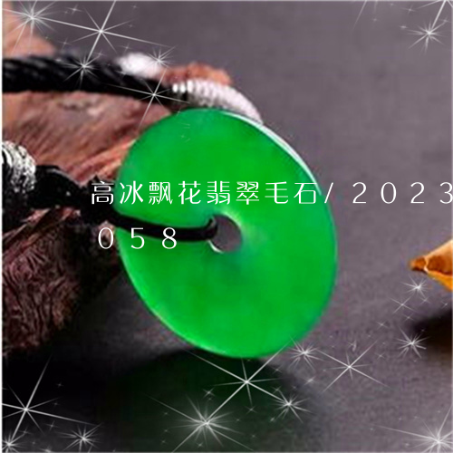 高冰飘花翡翠毛石/2023112507058