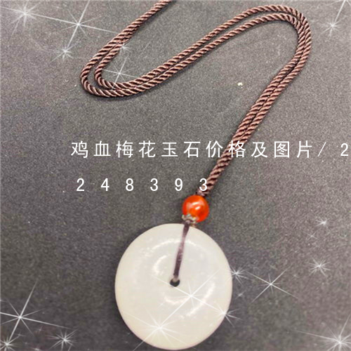 鸡血梅花玉石价格及图片/2023072248393