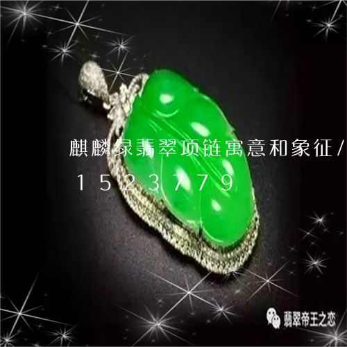 麒麟绿翡翠项链寓意和象征/2023031523779