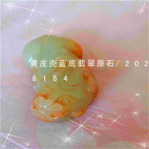 黄皮壳蓝底翡翠原石/2023042958164