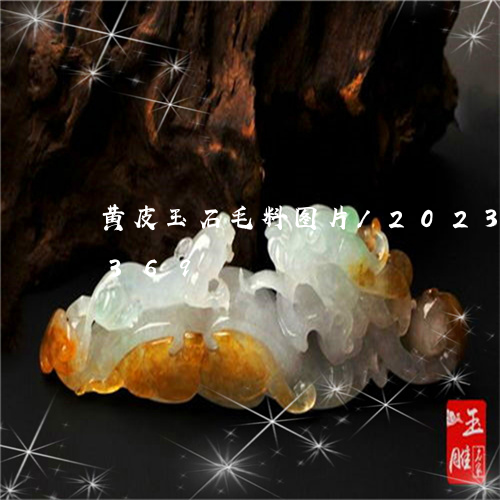 黄皮玉石毛料图片/2023112414369