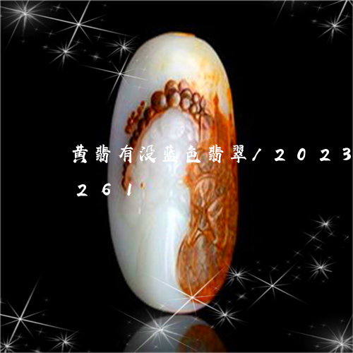 黄翡有没蓝色翡翠/2023112487261