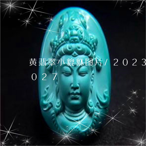 黄翡翠小貔貅图片/2023112406027