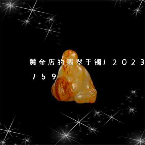 黄金店的翡翠手镯/2023033129759