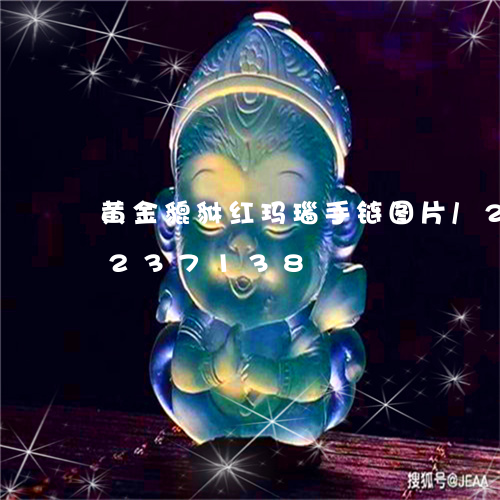 黄金貔貅红玛瑙手链图片/2023072237138