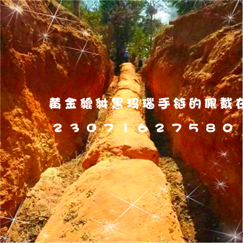 黄金貔貅黑玛瑙手链的佩戴在那只手/2023071627580