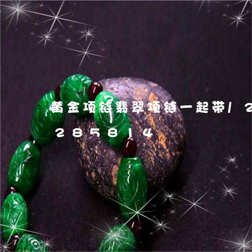 黄金项链翡翠项链一起带/2023072285814