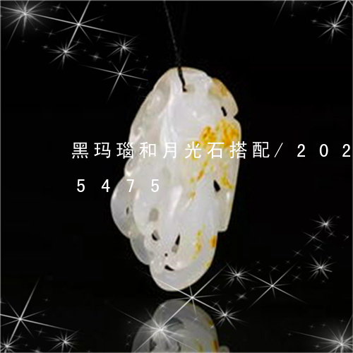 黑玛瑙和月光石搭配/2023042815475