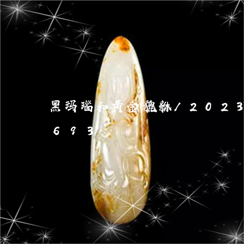 黑玛瑙和黄金貔貅/2023112550693