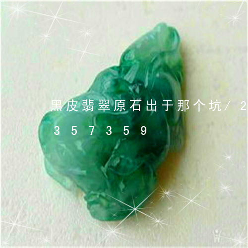 黑皮翡翠原石出于那个坑/2023072357359