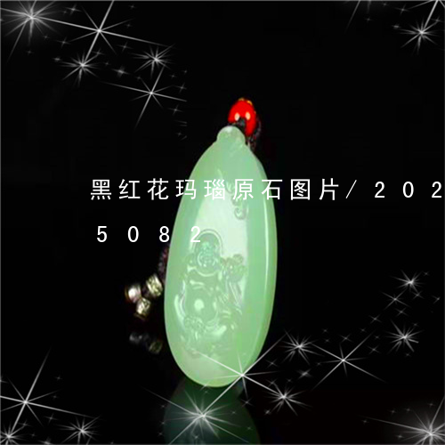 黑红花玛瑙原石图片/2023042825082