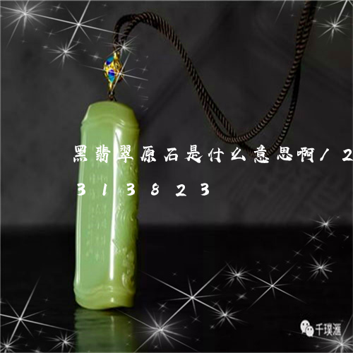 黑翡翠原石是什么意思啊/2023072313823