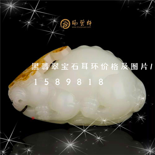 黑翡翠宝石耳环价格及图片/2023031589818