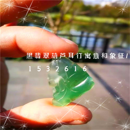 黑翡翠葫芦耳钉寓意和象征/2023031532616