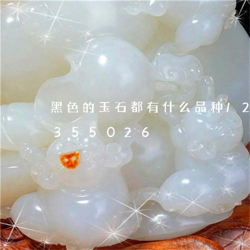 黑色的玉石都有什么品种/2023072355026