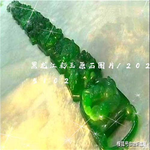 黑龙江彩玉原石图片/2023042855102