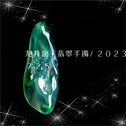 龙井碧玉翡翠手镯/2023112554725