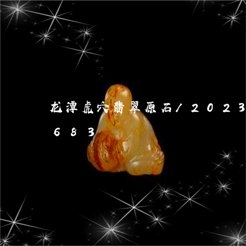 龙潭虎穴翡翠原石/2023112550683