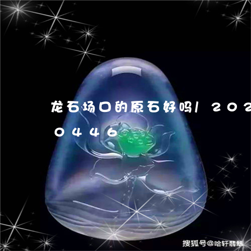 龙石场口的原石好吗/2023042830446