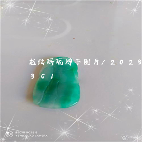 龙纹玛瑙牌子图片/2023121780361