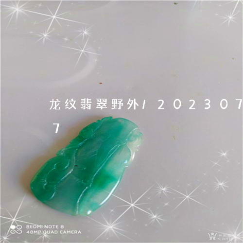 龙纹翡翠野外/2023073164957